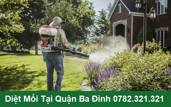 Diệt Mối Tận Gốc Tại Ba Đình