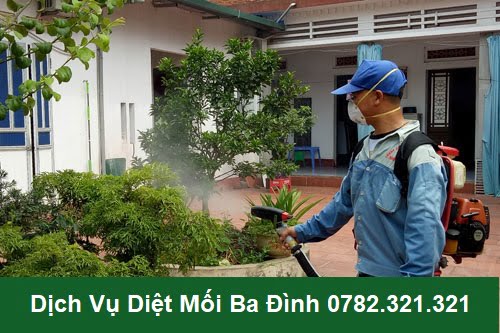 Diệt mối Quận Ba Đình