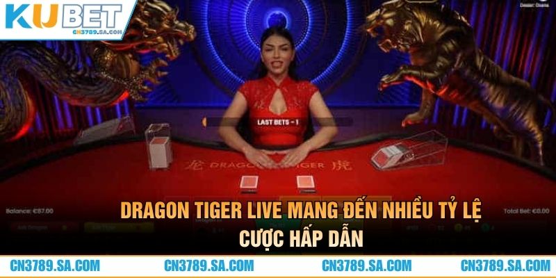 Dragon Tiger live mang đến nhiều tỷ lệ cược hấp dẫn