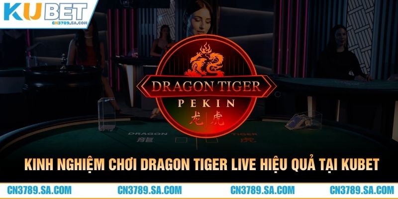 Kinh nghiệm chơi Dragon Tiger live hiệu quả tại CN3789