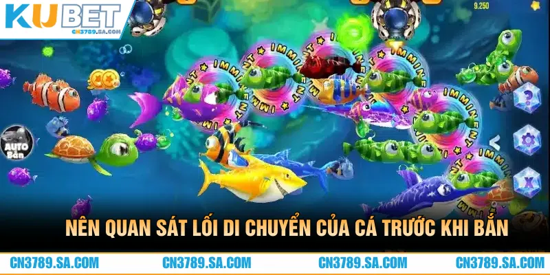 Nên quan sát chuyển động thật kỹ của cá trước khi xả đạn