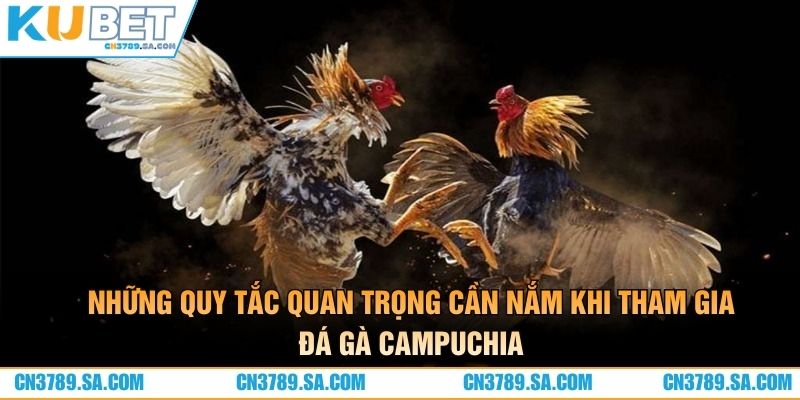 Những quy tắc quan trọng cần nắm khi tham gia đá gà Campuchia
